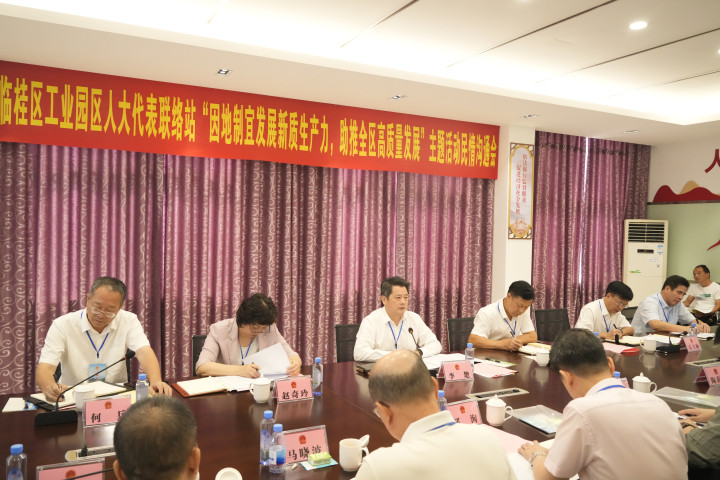 李楚以人大代表身份到临桂区开展“混合编…